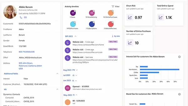 customer insights vision